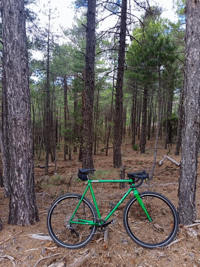 Bicicleta
